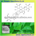 Stevia Extract Rebaudioside A Stevioside